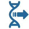 Output gevalideerde rapportage